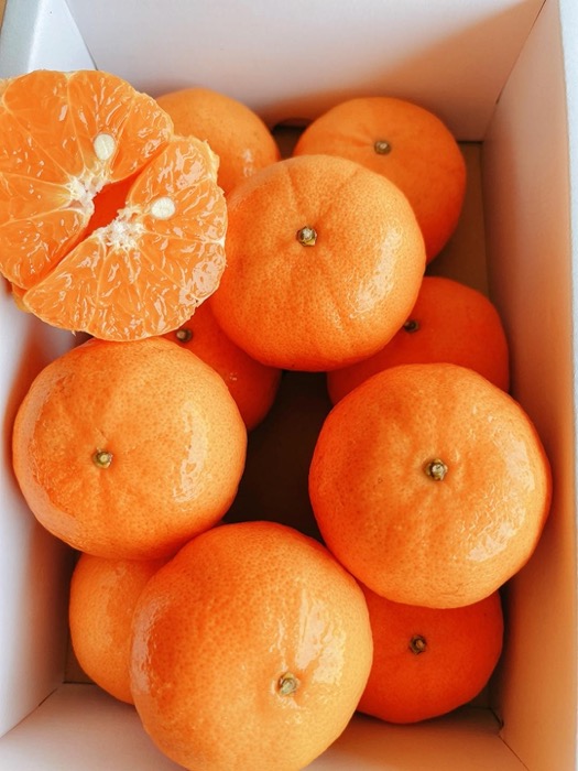 春樹嚴選-澳洲砂糖橘